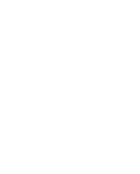 Replacement Windows The Triad